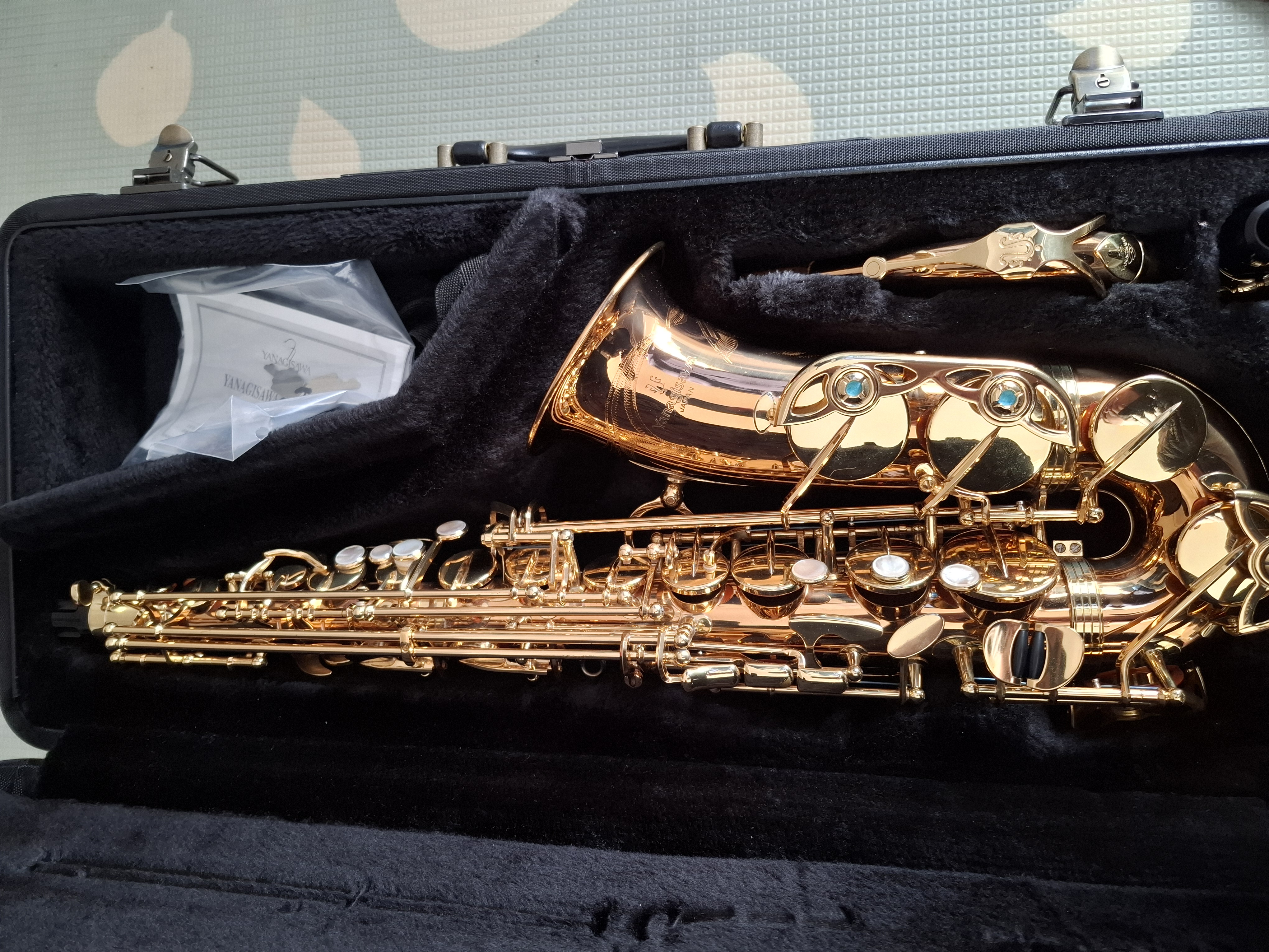 Yanagisawa AW01 Alto Saxophone