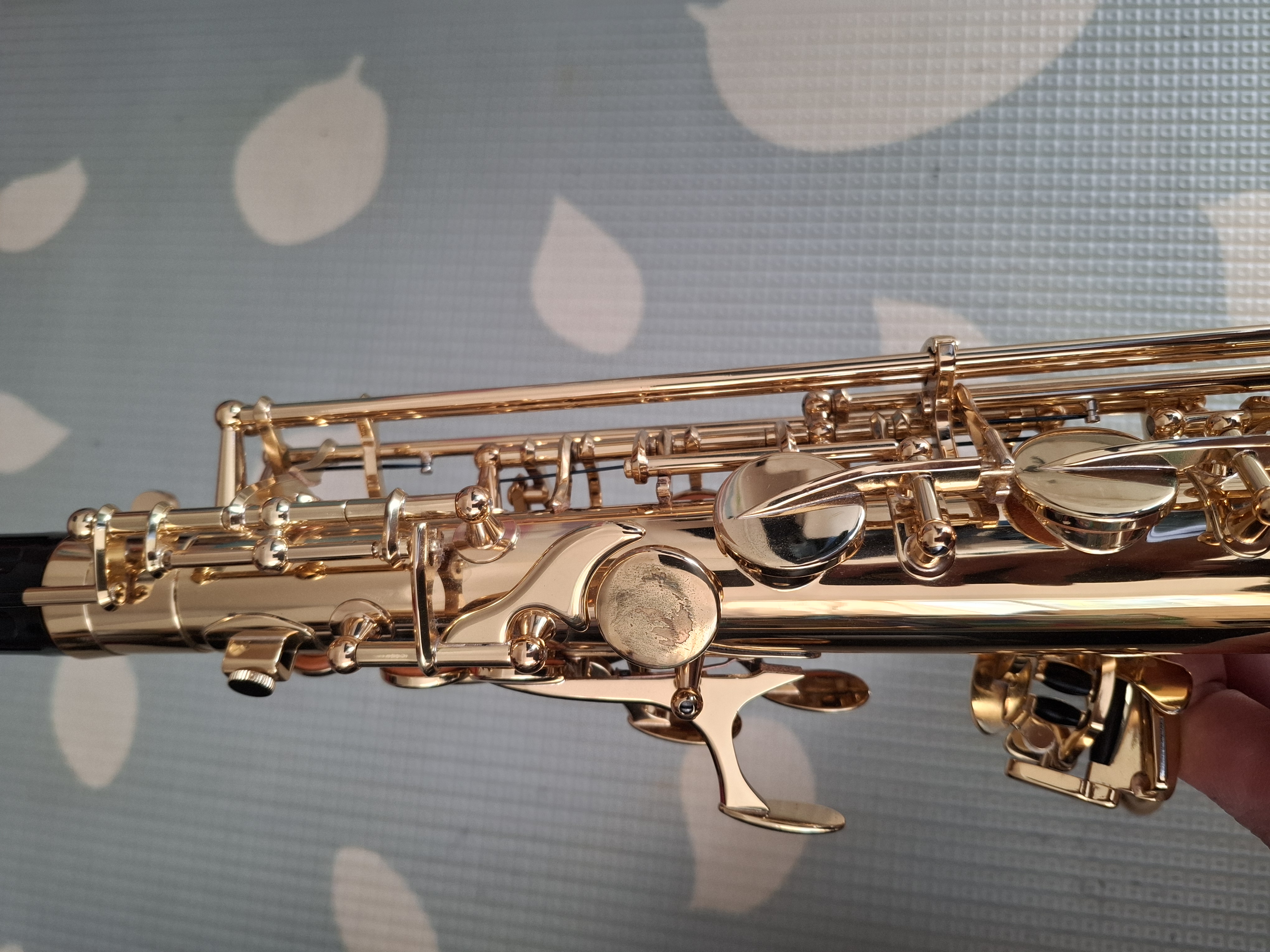 Yanagisawa AW01 Alto Saxophone
